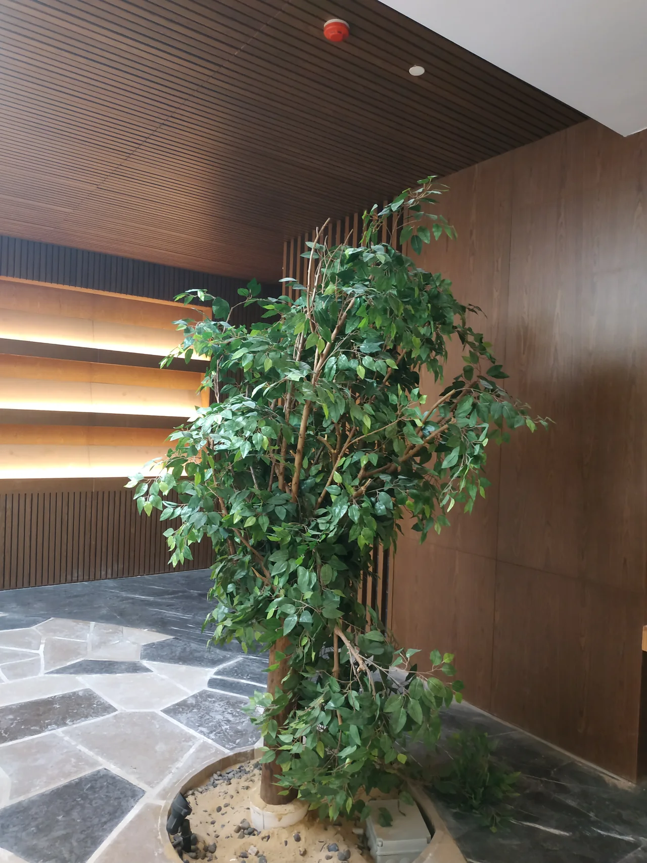 Wood ceiling and cladding